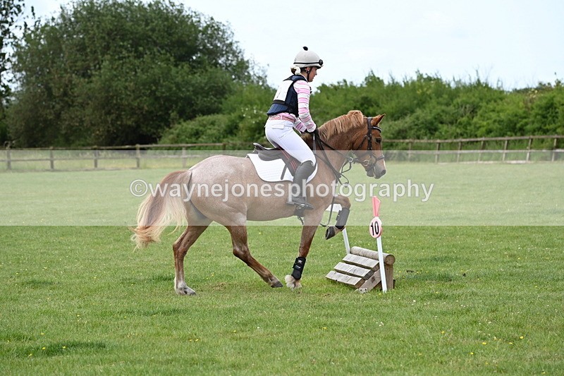 WJ6_2464 - Class 2 40cm