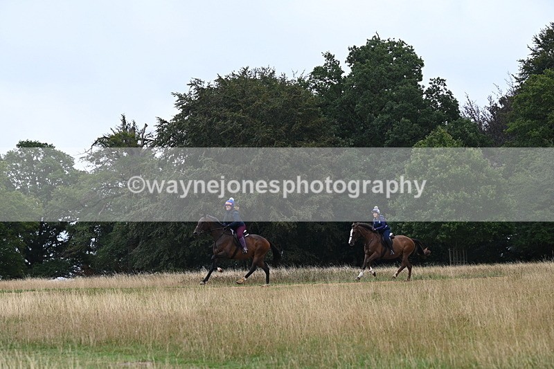 DSC_0130 - Time at Statue 09:51 to 10:54