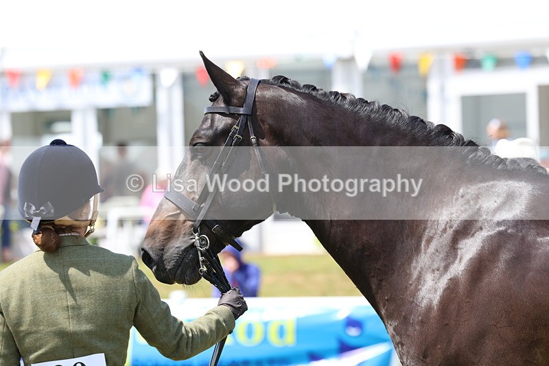 3E7A1648 - Class 9: Open Hunter