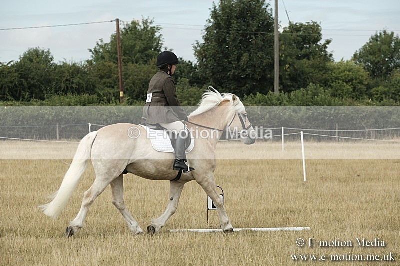 _PJP5742 - Dressage Classes BVRC Show 2018