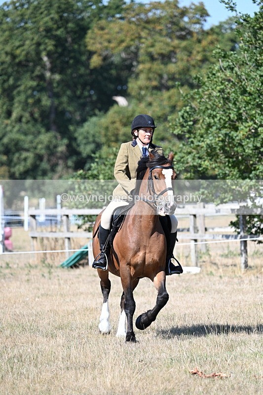 WJ7_3762 - Class 9 Mountain & Moorland Ridden