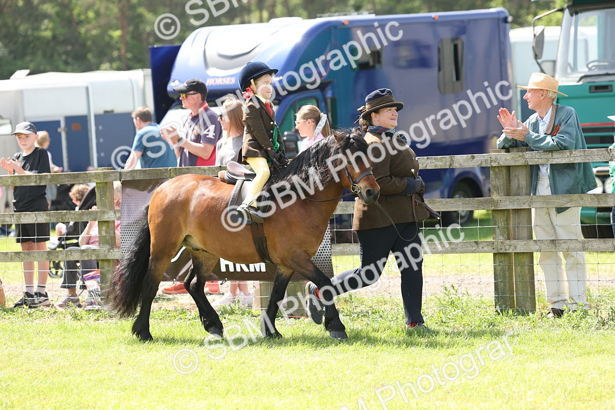 SBM_05307 - Class 24-25 - Mountain & Moorland In Hand Lead Rein and First Ridden