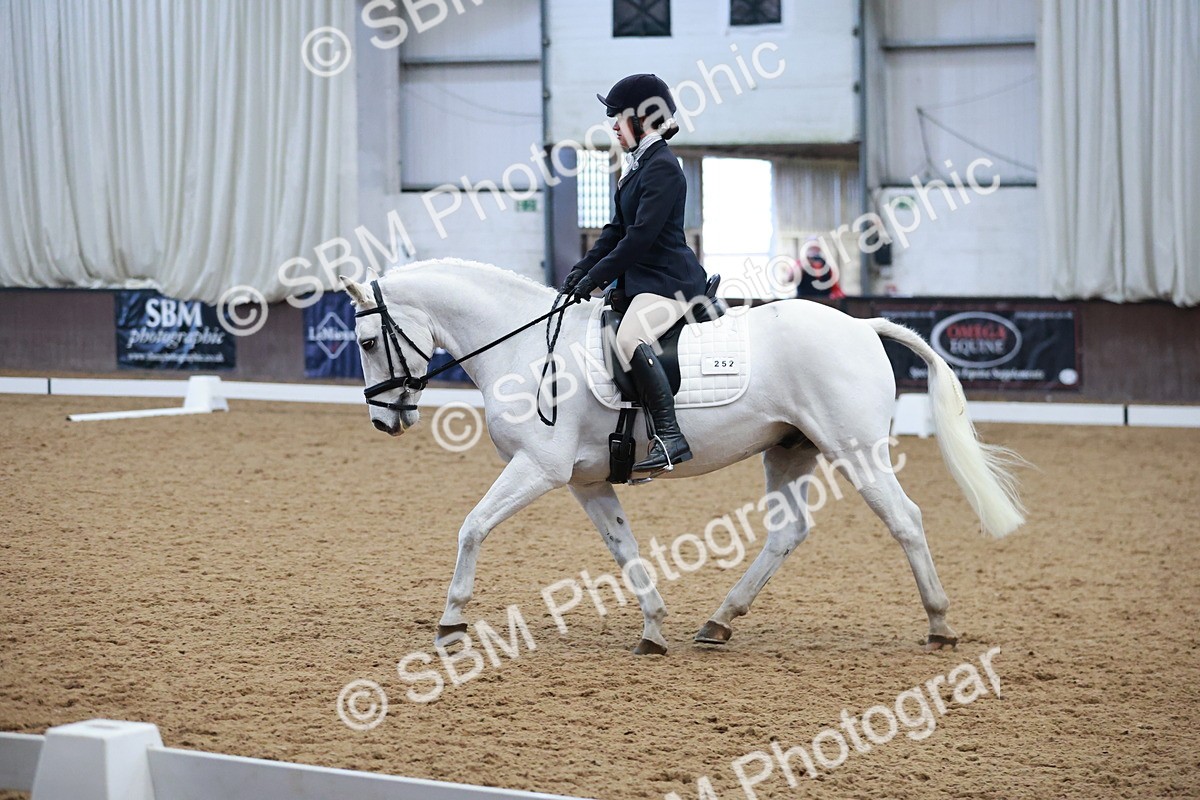 SBM_004515 - Ring 3 - International -  Working Hunter Classes 23-2-25