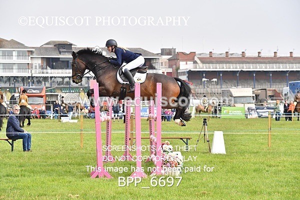BPP_6697 - CLASS 2 RHS Classic Champ Qual (1.20m)