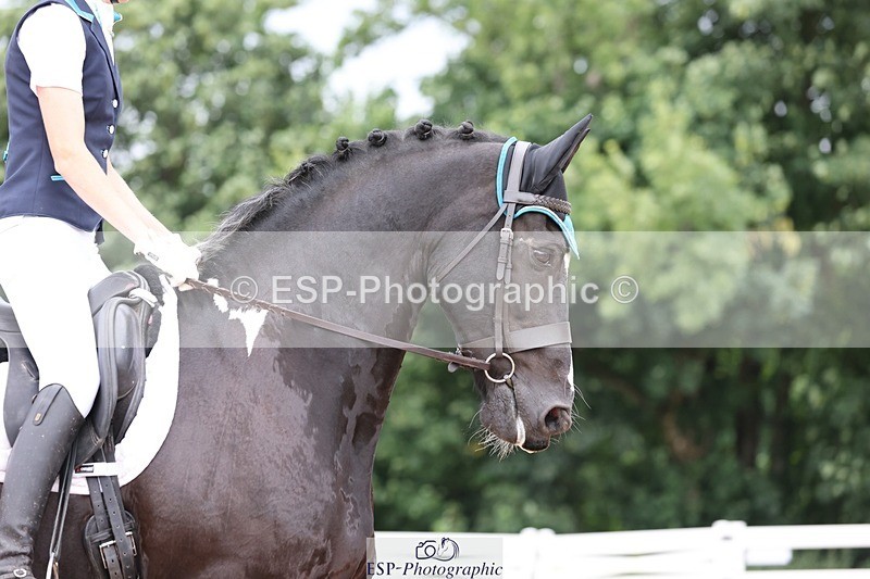 250621-100835-06156 - Cls 31 - Freestyle Elementary