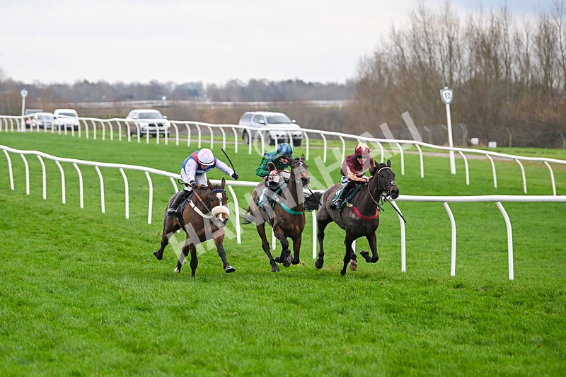 171224-Race 5-Wrappedinrubies-3418 - Race 5