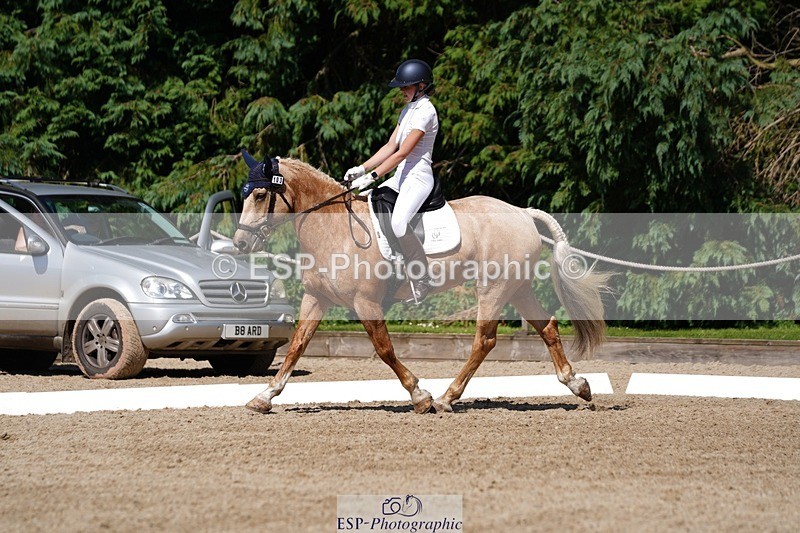 240719-154700-02762 - 103-Elissa_Franks-Golden_queen