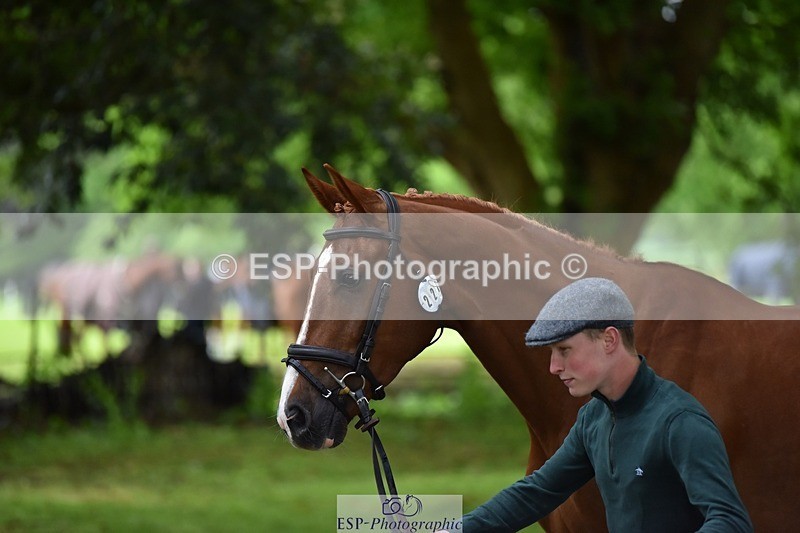 240522-164732-01159 - 221-LAGANS_RICE_STAR-Oliver_Thompson