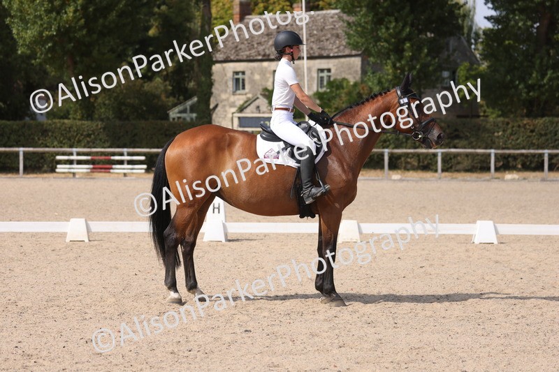 20260815-1091 - Class 6 - Novice 2