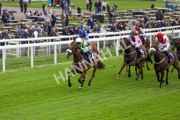 120724-Race 1-Tolstoy-1593 - Race 1 2.05pm William Hill Extra Place Races Daily Handicap