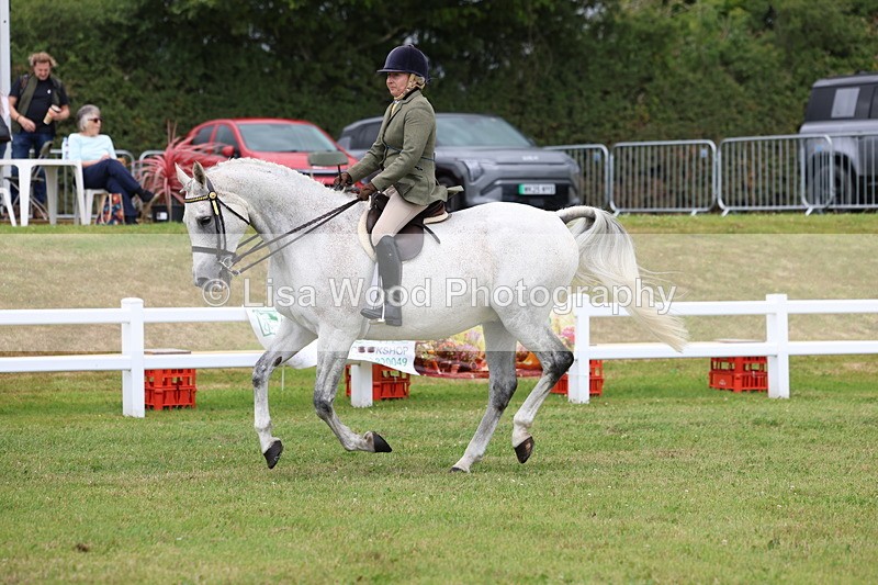 3E7A0950 - Class 8: Open Riding Horse/Hack