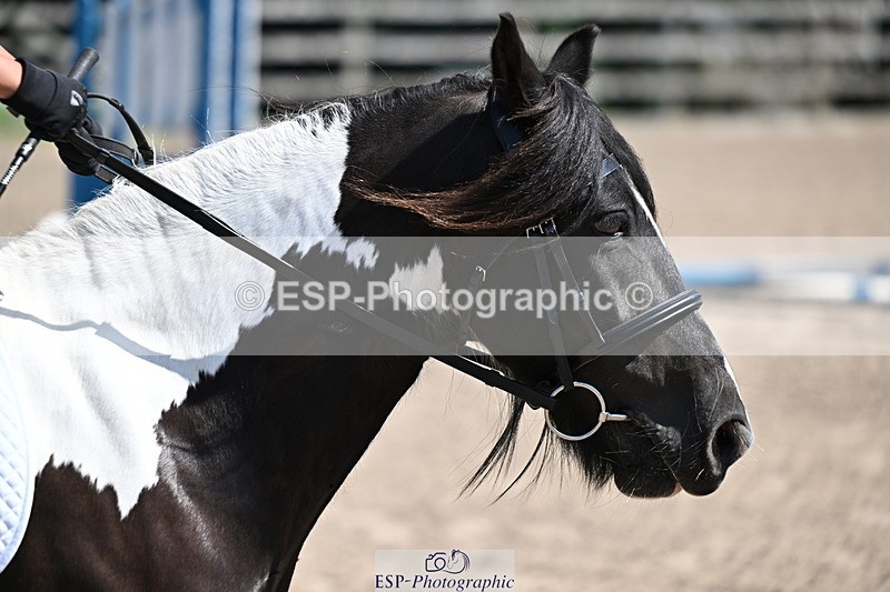240729B-112450-02366 - Showjumping Competition