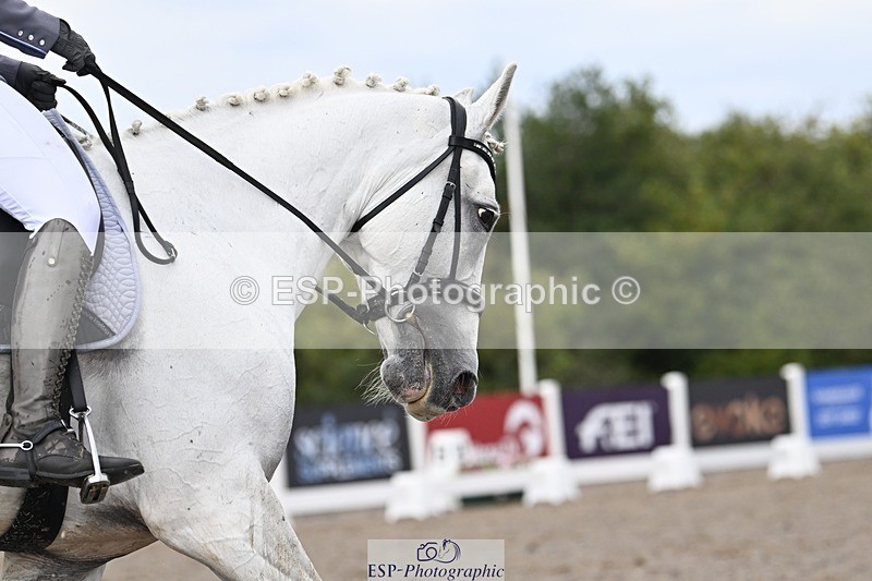 250907-104839-06353 - 070-Charlotte.DoreyDeards.Silver.Bounce