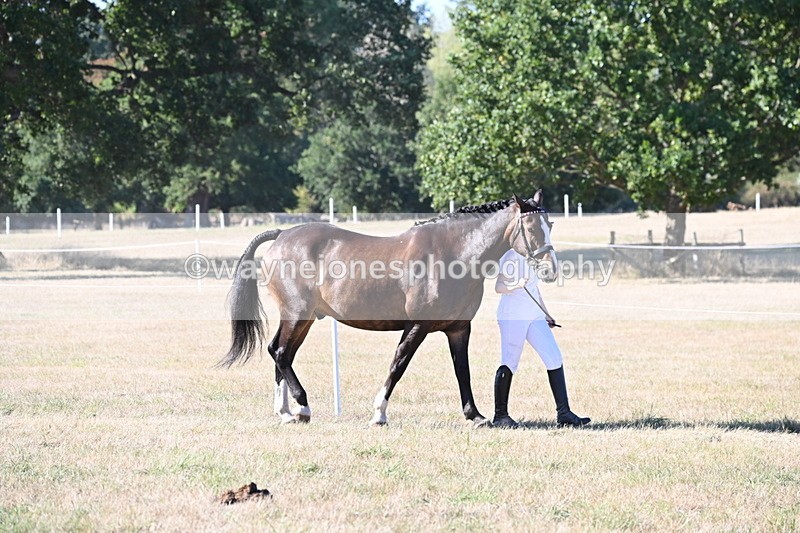 WJ6_9569 - Championship (Class's 40-44)