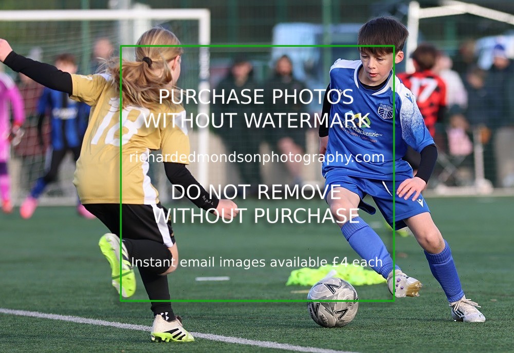 533A0785 - Wattsfield