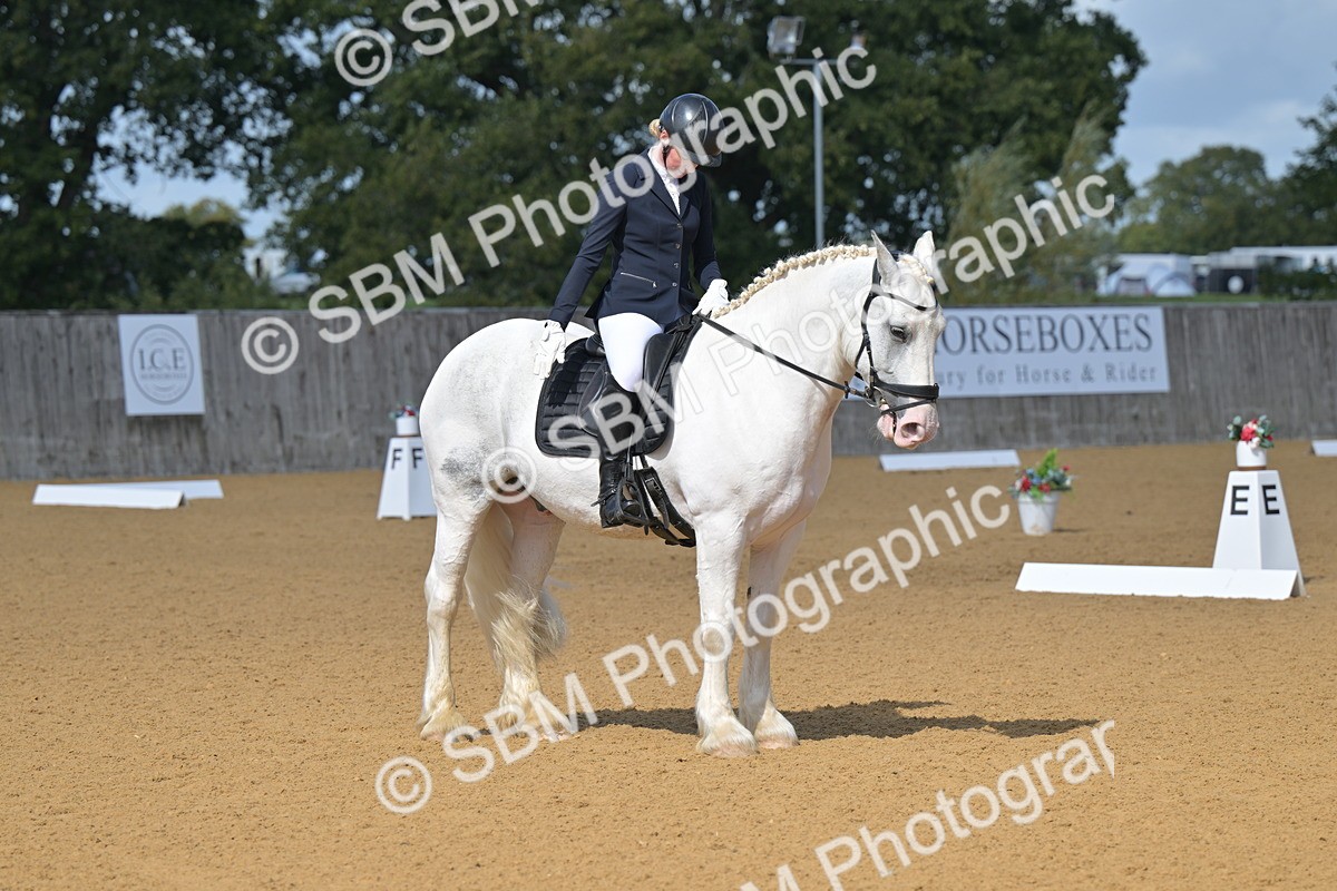 SBM_08016