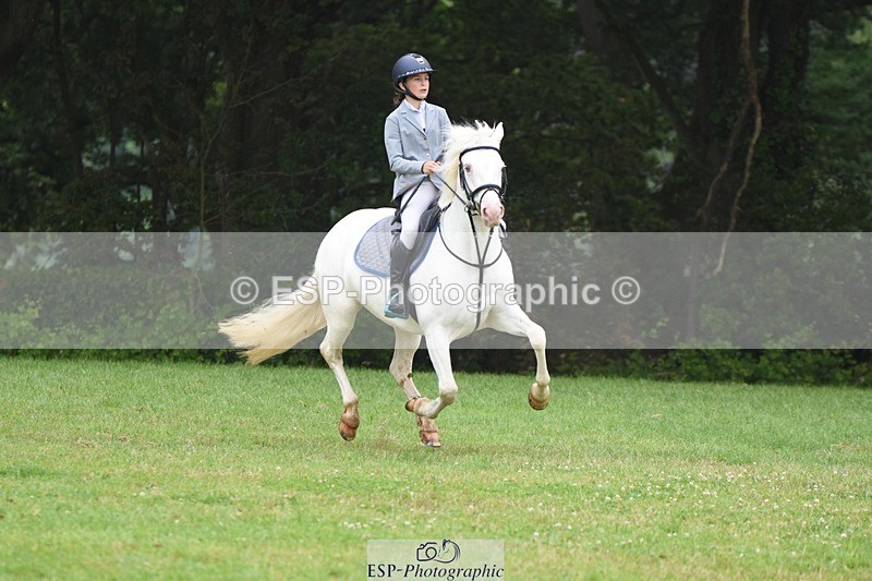 230618-101152-10299 - Cls 28 British Novice & 80cm Open