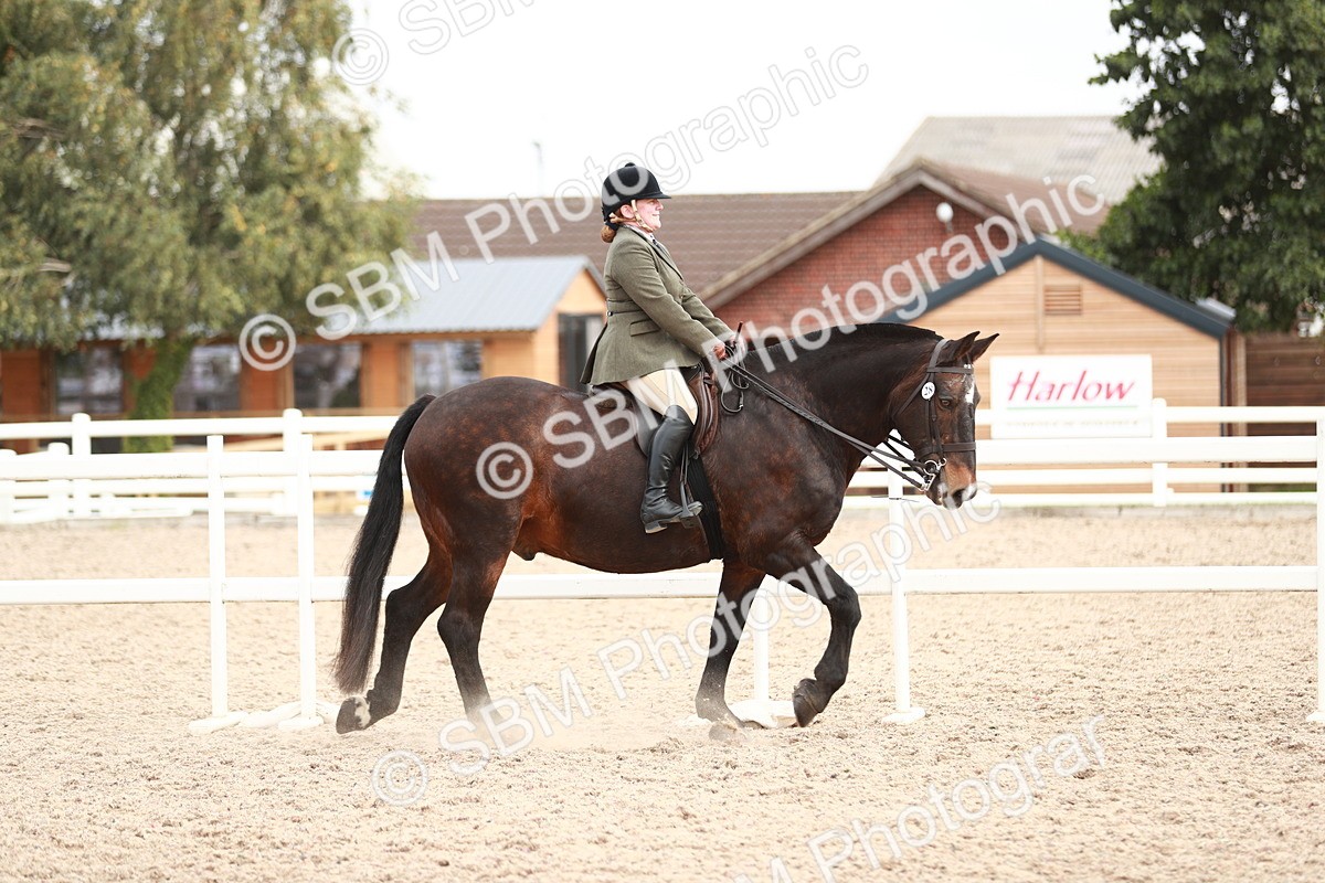 SBM_16572 - Class 214 Ridden Cob