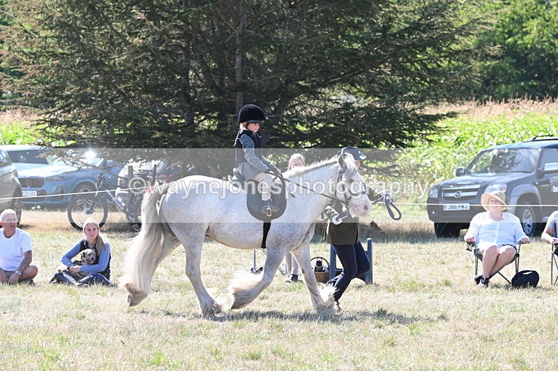 WJ6_7907 - Class 36 Lead Rein