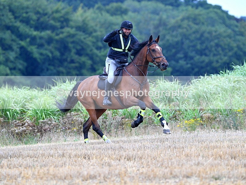 WJ5_3264 - Sofian Francis