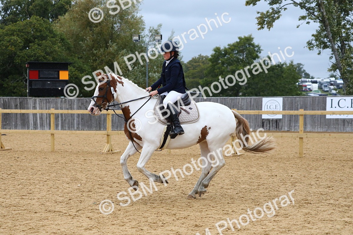 SBM_71968 - J3b - Mini Tour Junior Pony 40cm Championship
