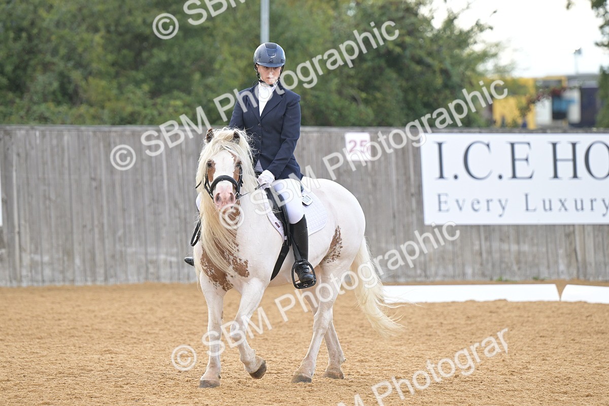 SBM_11206 - D3 - Small Tour Championship Intro 3