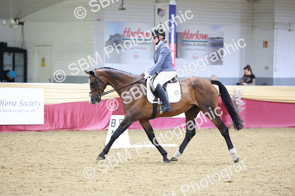 SBM_09793 - Class 61 - Dressage to Music