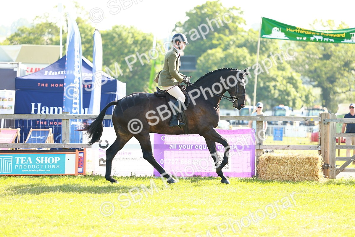 SBM_10929 - Class 66-69 - RIHS Ridden Hunters Inc Small Hunter