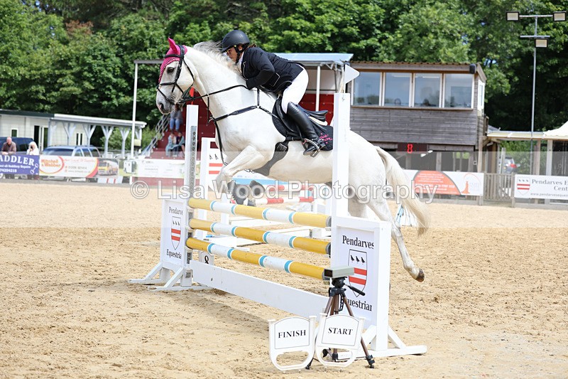 3E7A3043 - Class 4: Senior British Novice/90cm open