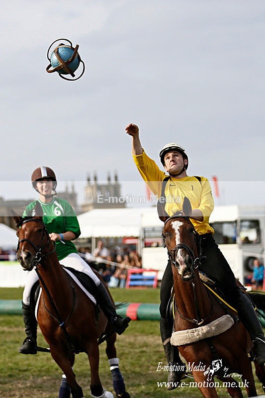 _LES8827a - Equestrian