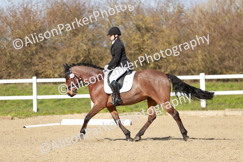 20260314-3076 - DR3 - Prelim 1