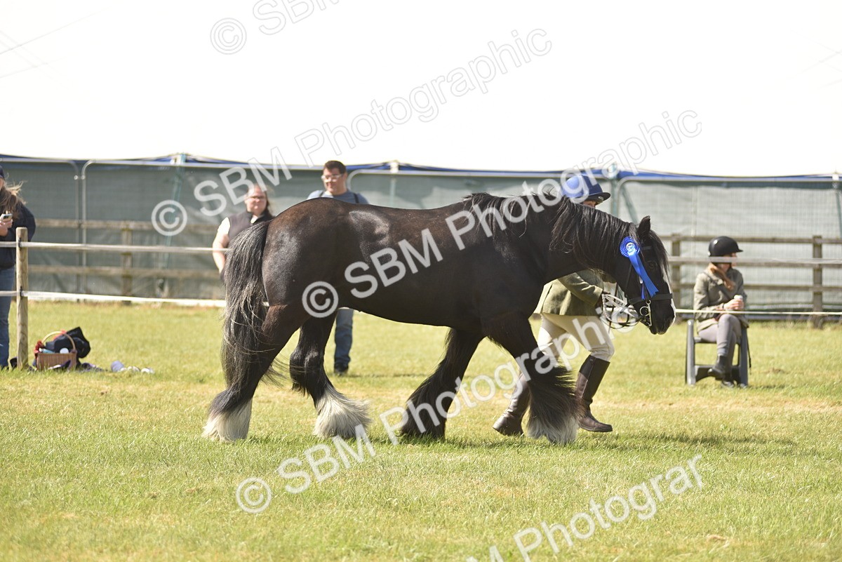 SBM_16117 - Class 117-122 - SSADL RIHS Qualifier