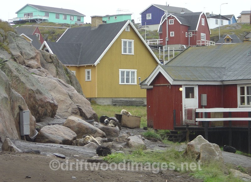 Sisimuit - Greenland West Coast