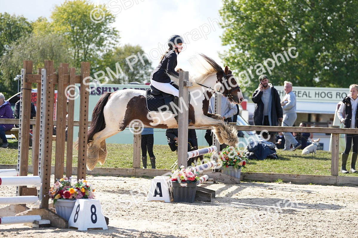 SBM_46609 - J7 - Junior Pony 60cm Championship