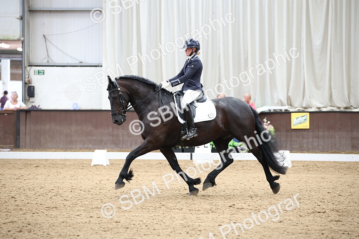 SBM_003180_Class 5 - Novice 6 Gold - 1141-1251 - George