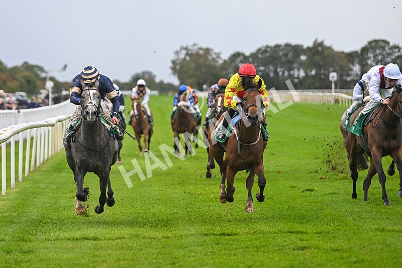 150925-Race 2-Rum Therapy-2392 - Race 2