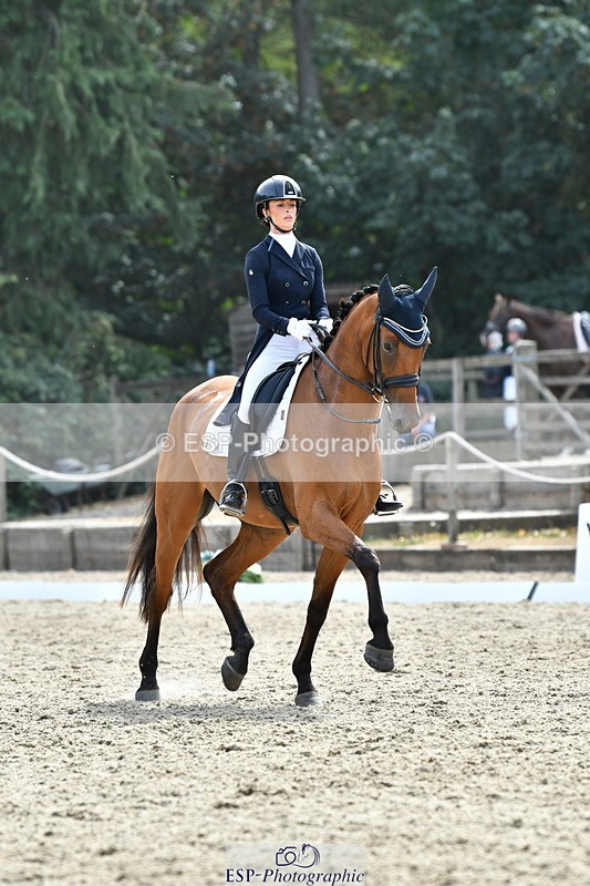 260802A-153037-07429 - Intermediate Bronze