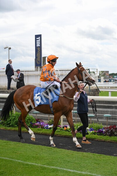 yr21052022r1-10 - Race 1: 1:40pm William Hill Play Responsibly Stakes