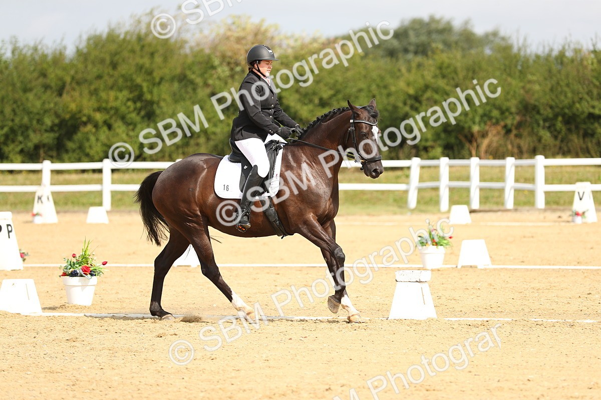 SBM_016282 - Class 13 - Novice 23 - 11.25-12.35