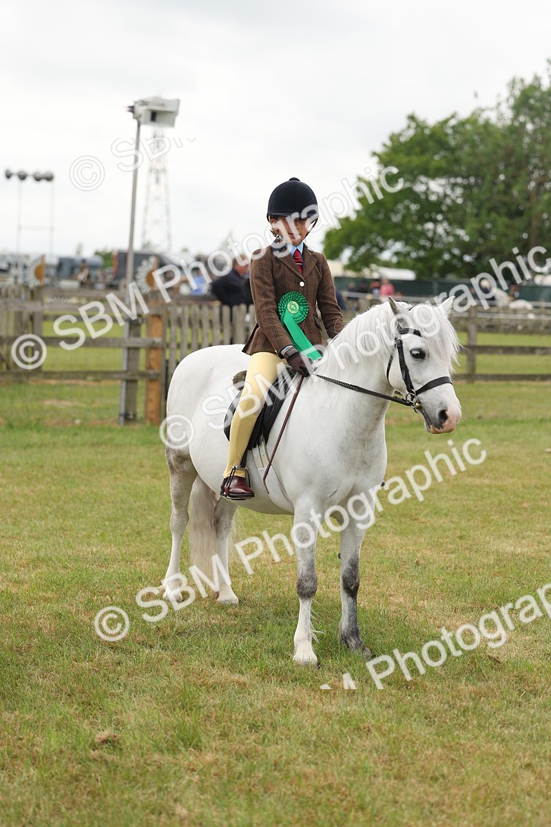 SBM_06905 - Class 74-75 - M&M Lead Rein and First Ridden Pony