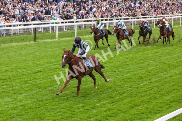 230923-Race 2-Palamon-5250 - Race 2 2.35pm jigsawsportsbranding.co.uk Handicap