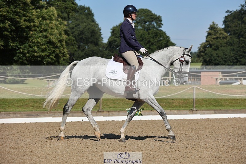 240719-095513-00297 - 251-Letitia_Pickles-Calypso's_Pride