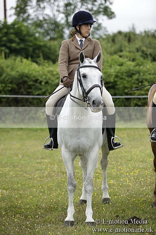 BVR160717-1042 - Ring 1 BVRC Show 16/07/17