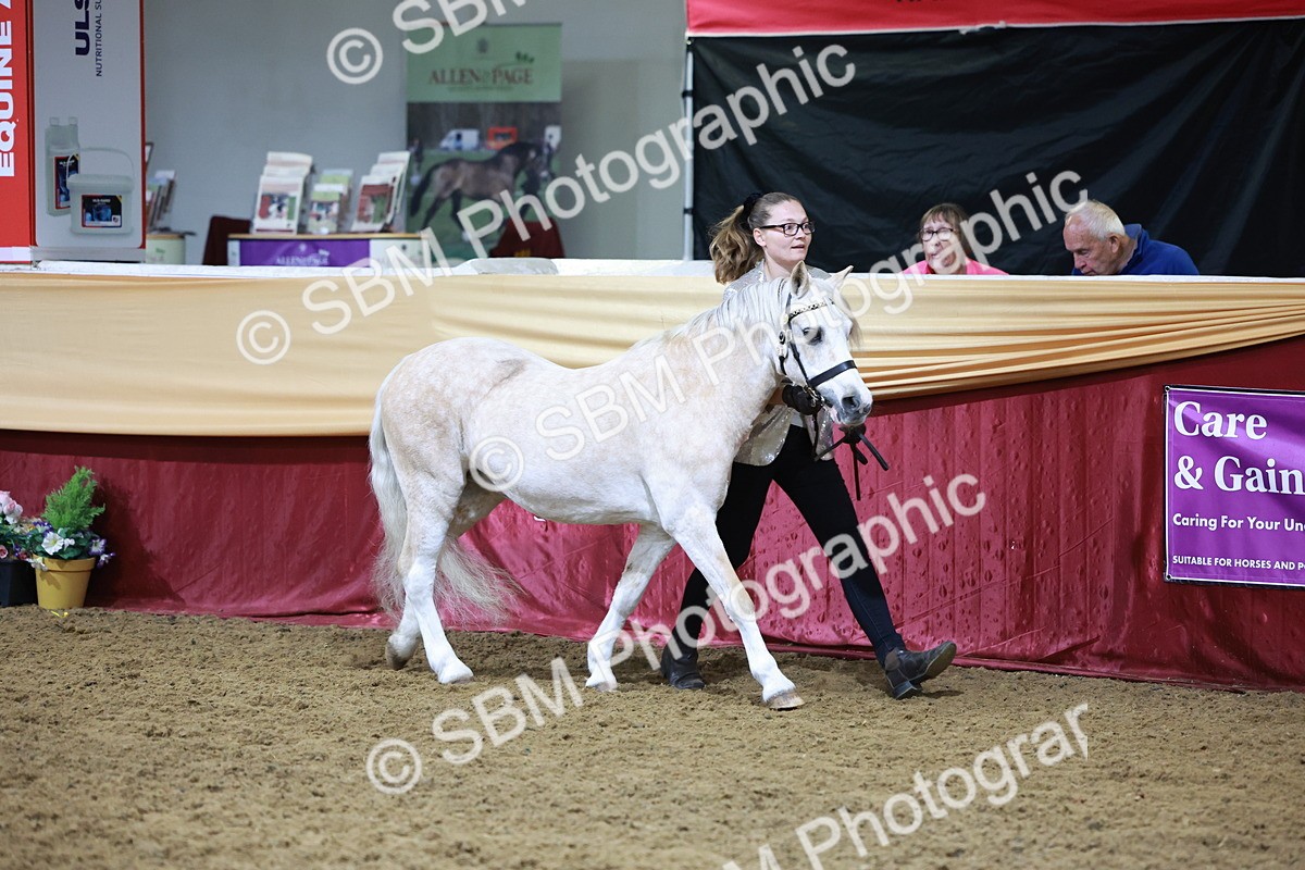 SBM_20412 - Class F - IH Small (148cm & Under)Champ