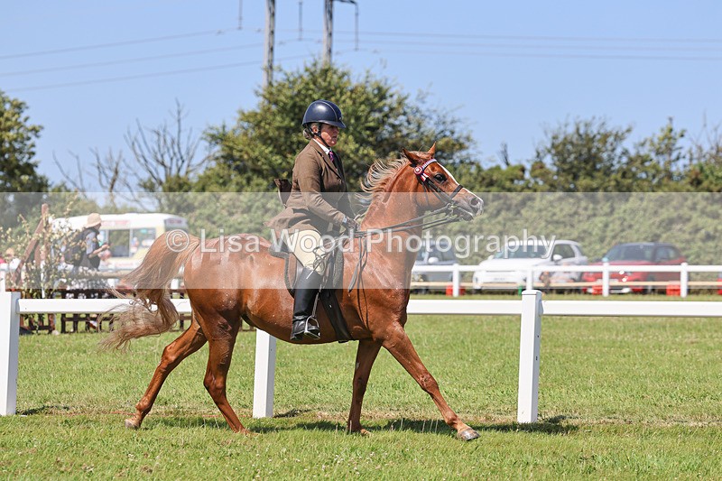 IMG_2245 - Class 37: Pure, Anglo & Part Bred Ridden Arab