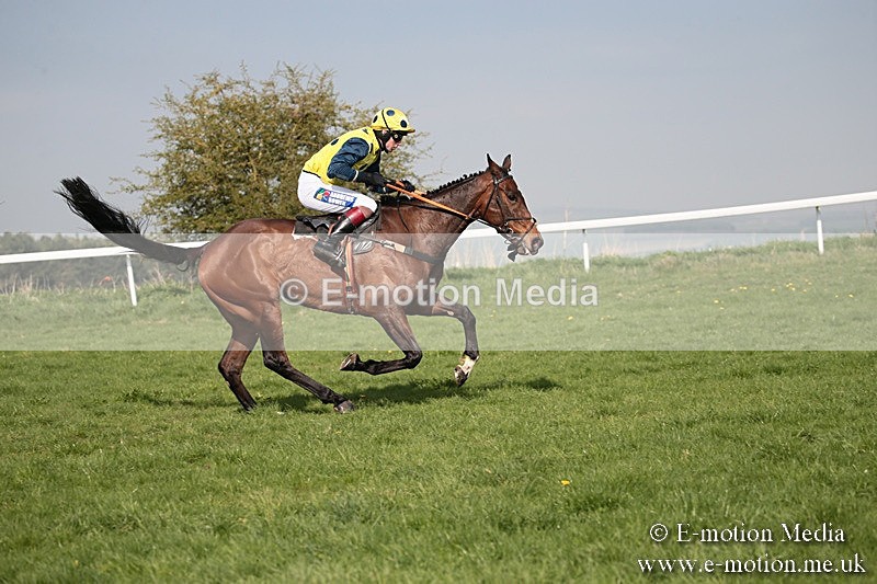 PtP 210418 454 - South & West Wilts Point-to-Point Larkhill 21/04/18