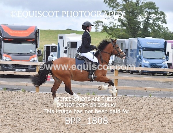 BPP_1808 - DERBY CLASS 5 - 60CM