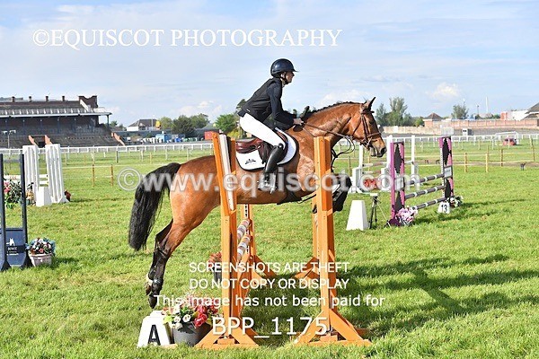 BPP_1175 - CLASS 6 1.00m Amateur Championship