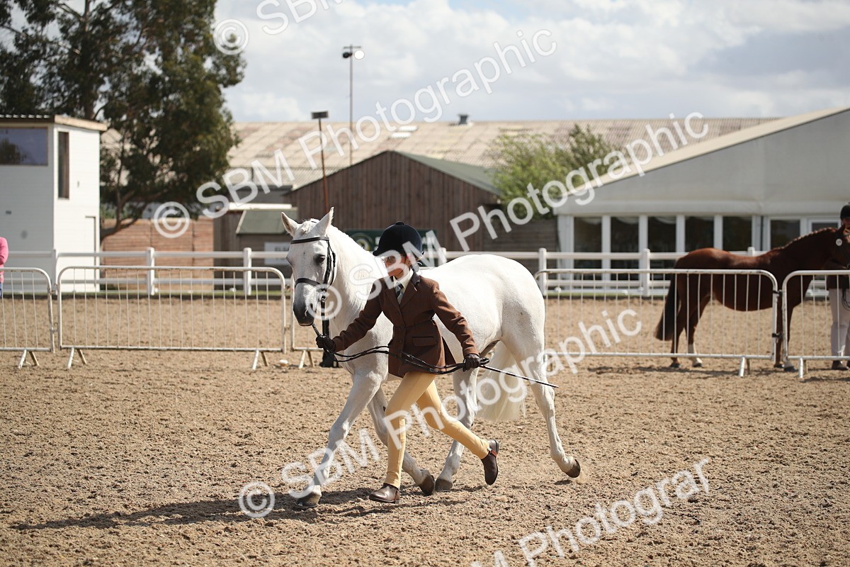 SBM_23561_Class 605 - 2026 - Area - IH Veteran - Vicky Gutteridge