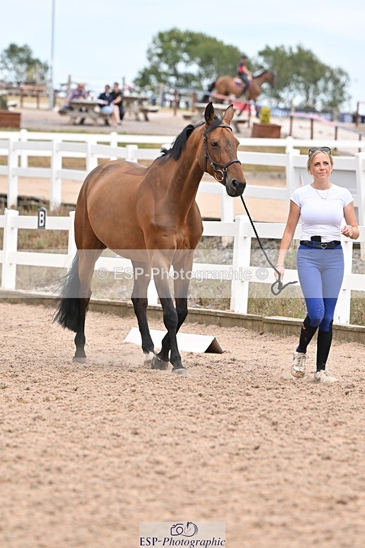 250716-162356-02613 - Trot Up 3.30 to 4.30